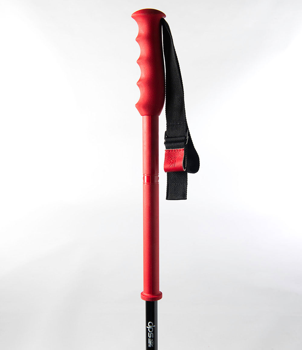 dps-b-tons-ski-t-lescopiques-110-140-cm-carbone-alu-rouge image 4