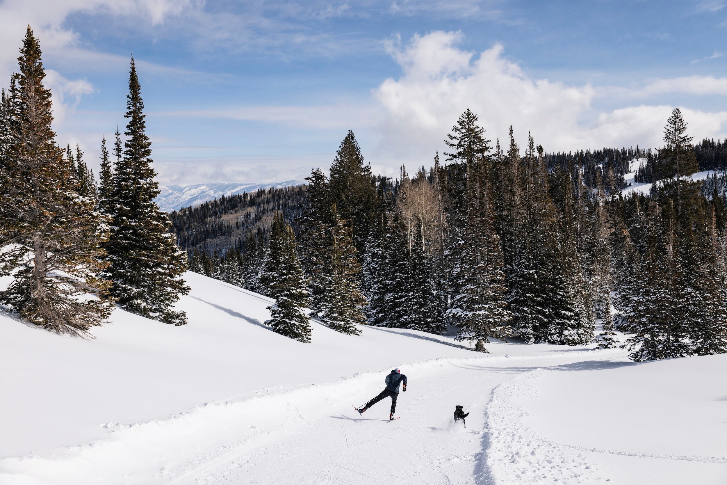 dps-phantom-glide-nordic-kit-fart-ski-de-fond-1-paire image 3
