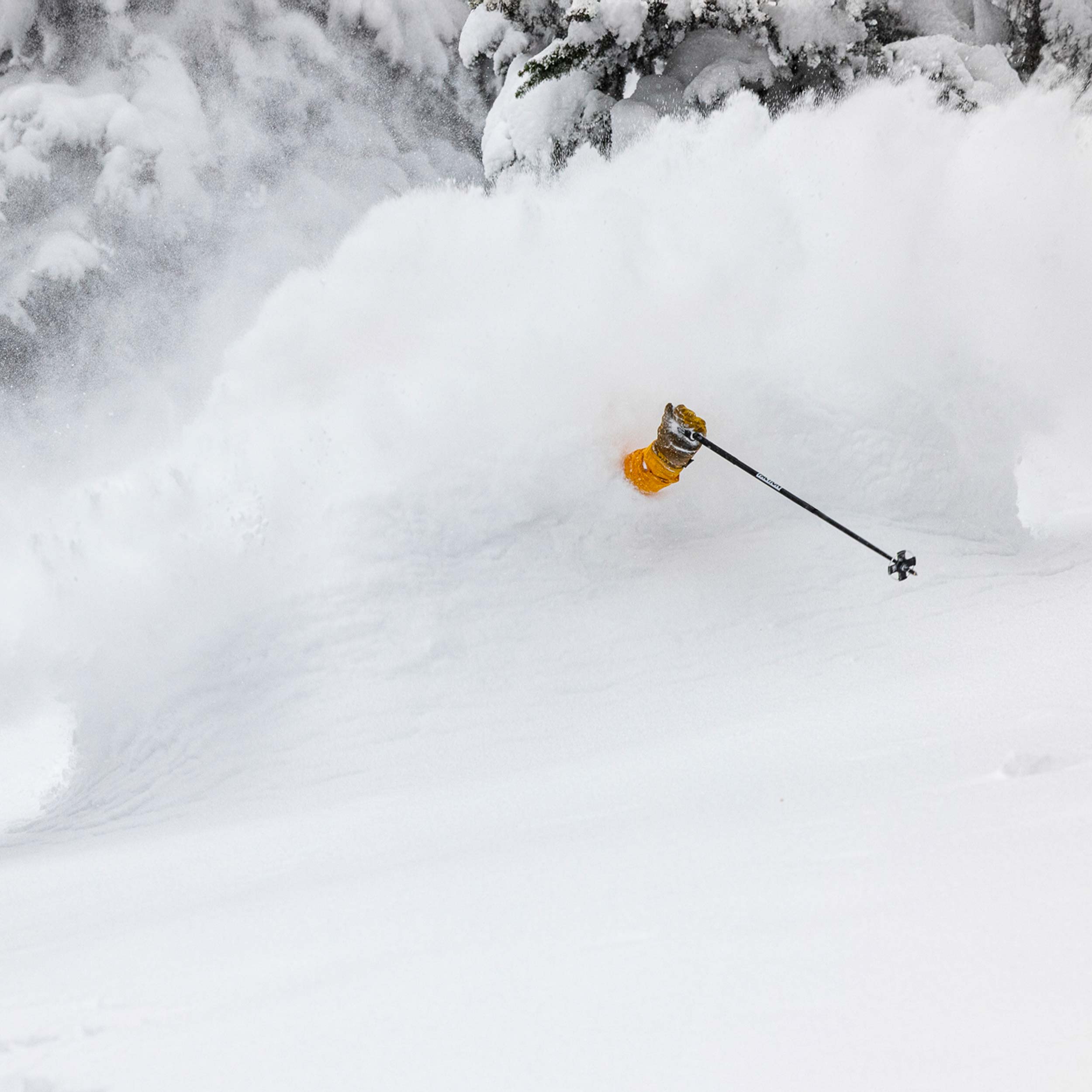 faction-b-tons-ski-aluminium-120-cm-freeride-230-g image 5