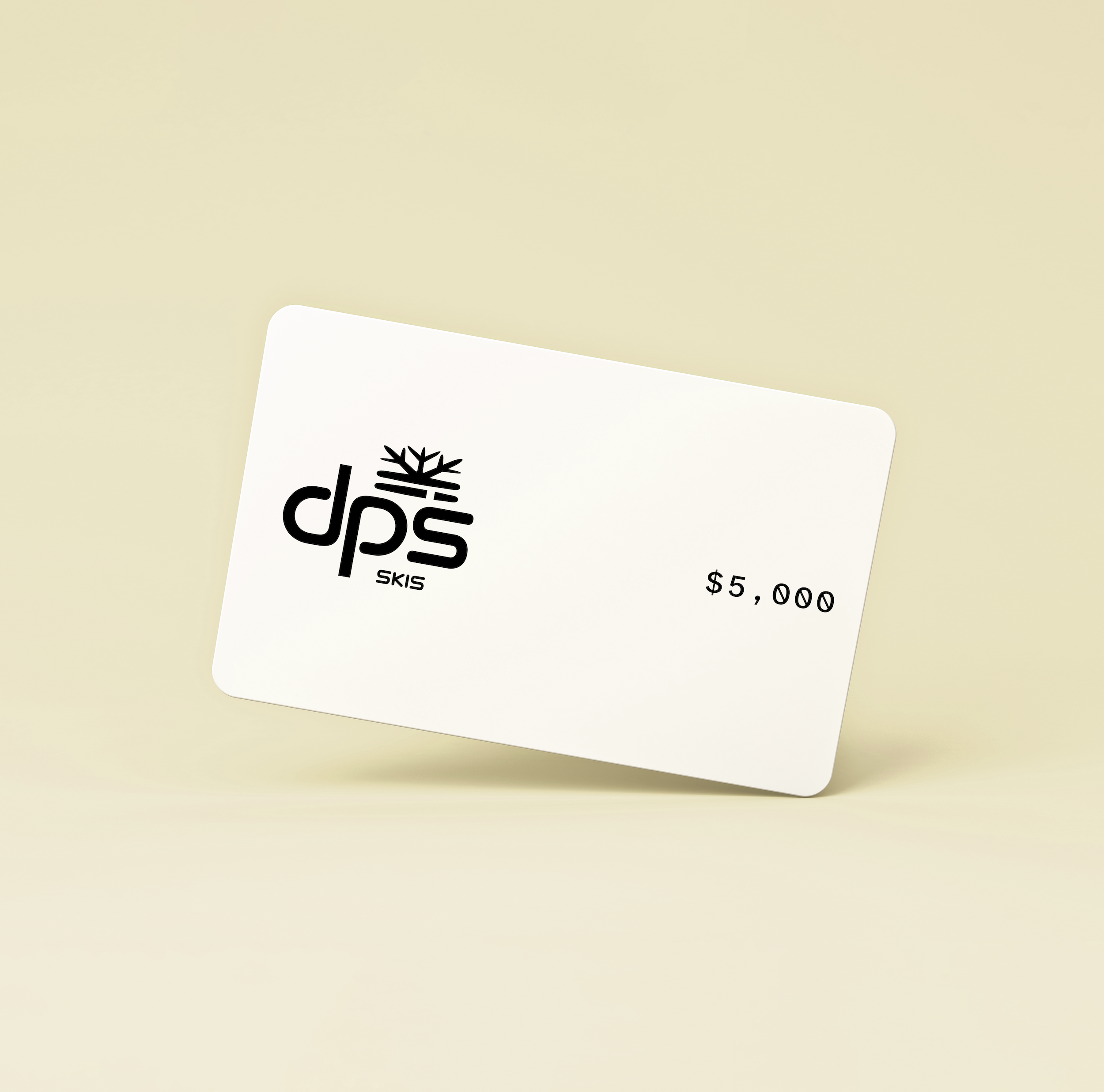 dps-gift-cards-carte-cadeau-digitale-250-ski-et-gear image 2