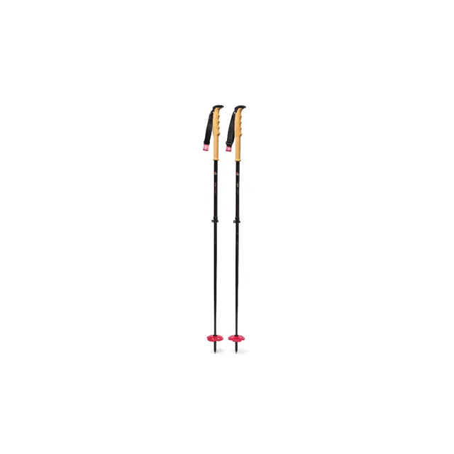 dps-carbon-ultralight-b-tons-ski-carbone-r-glables-li-ge image 1