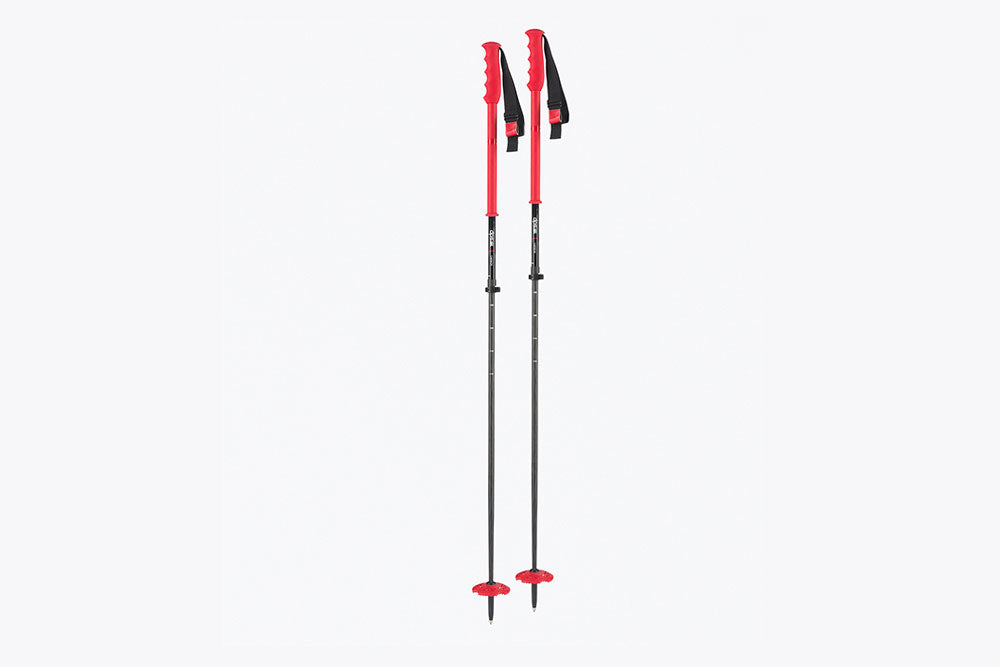 dps-b-tons-ski-t-lescopiques-110-140-cm-carbone-alu-rouge image 1