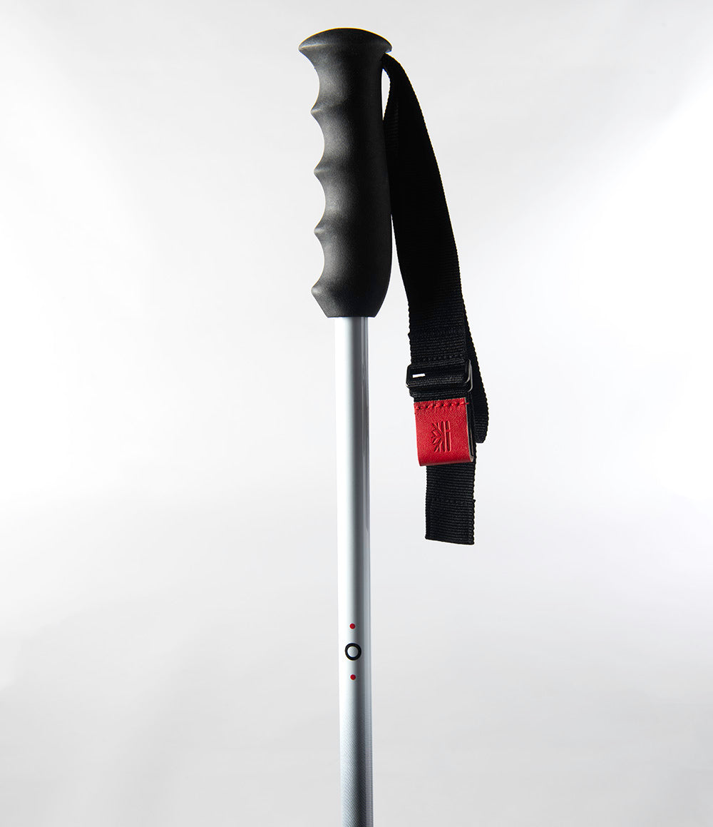 dps-fixed-carbon-pole-b-ton-carbone-130-cm image 4