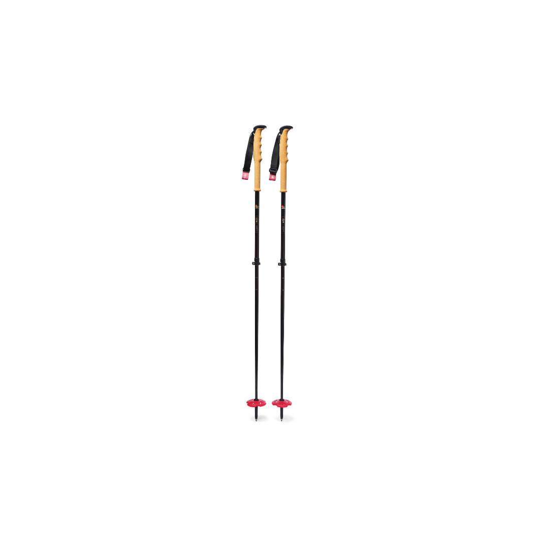 dps-carbon-ultralight-b-tons-ski-carbone-r-glables-li-ge image 1