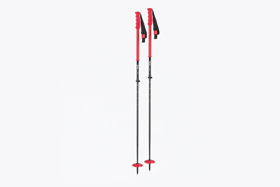 dps-b-tons-ski-t-lescopiques-110-140-cm-carbone-alu-rouge image 1